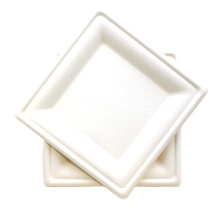 Assiettes à gâteaux carrées en papier bagasse de canne à sucre biodégradable